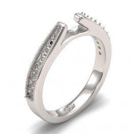 Cathedral Design Ring Mounting